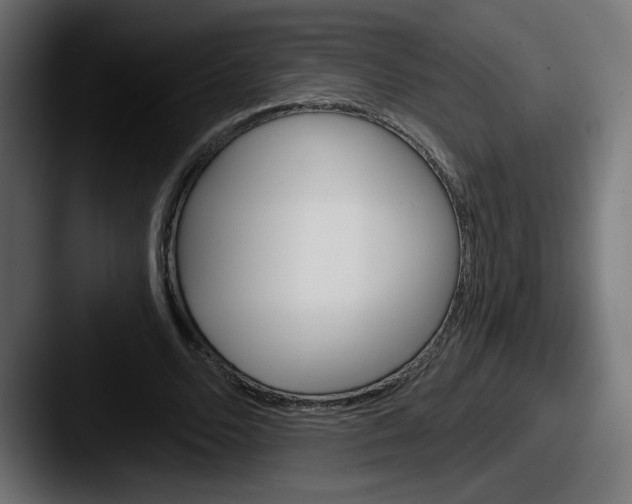 X0000087550680200705181107