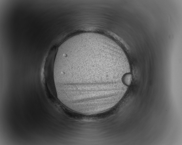 X0000087550682200705181107