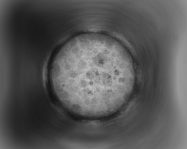 X0000087550683200705181107