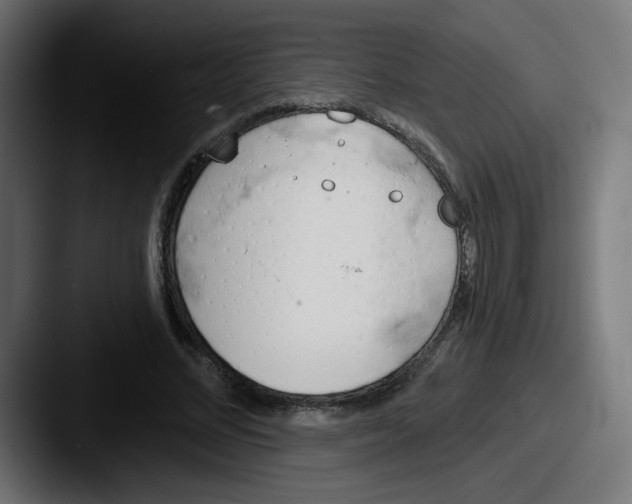 X0000087550684200705181107