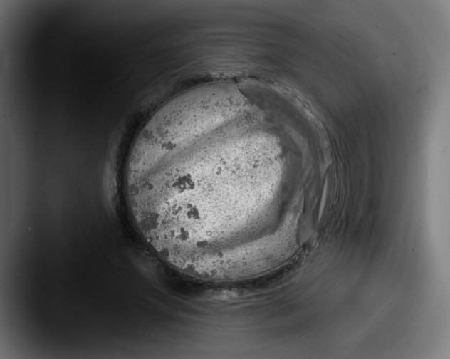 X0000087550687200705181107