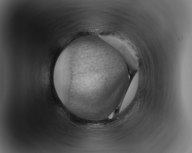 X0000087550689200705181107