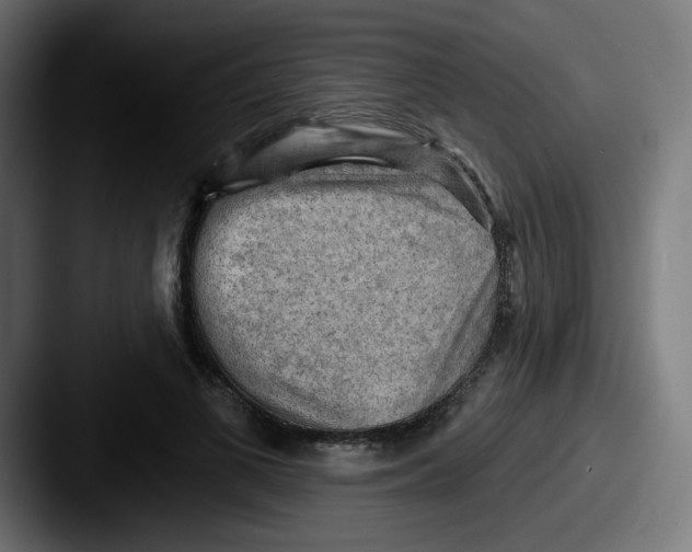 X0000087550693200705181107