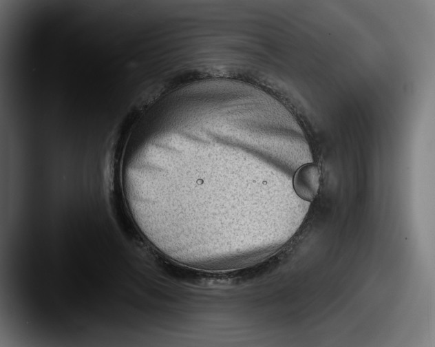 X0000087550694200705181107