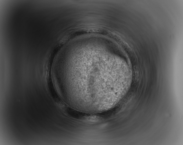 X0000087550695200705181107