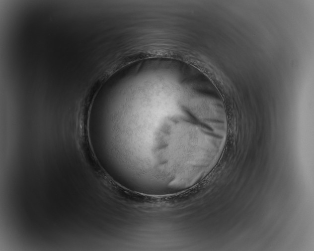 X0000087550696200705181107