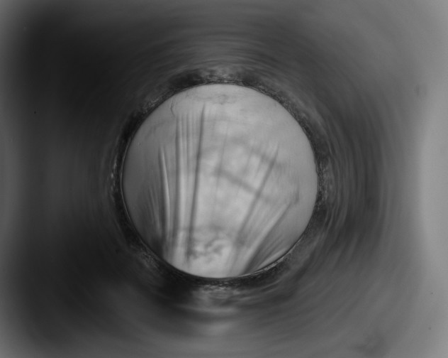 X0000087550699200705181107