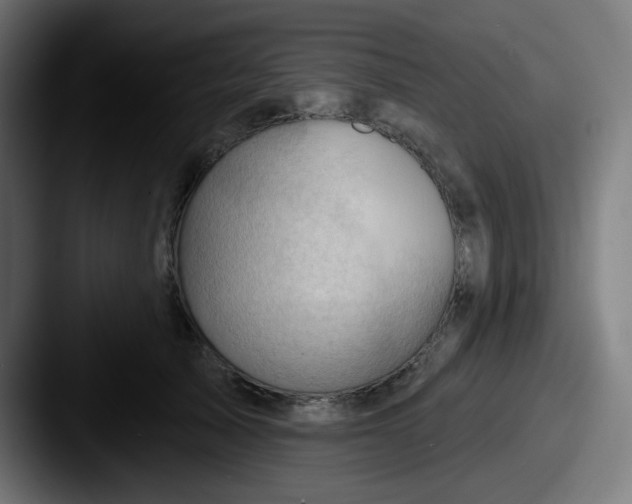 X0000087550705200705181106