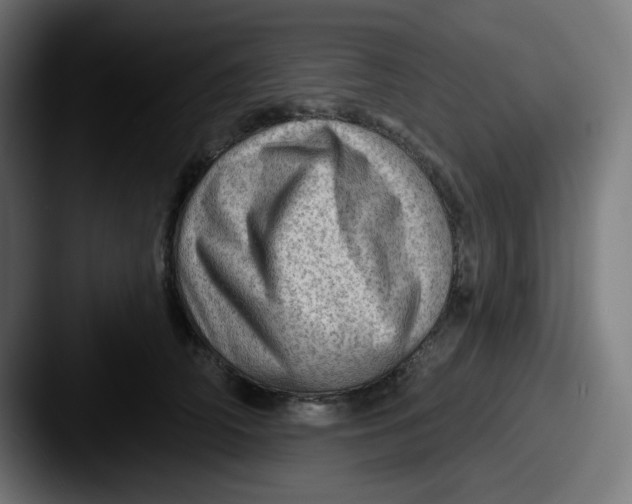 X0000087550706200705181106