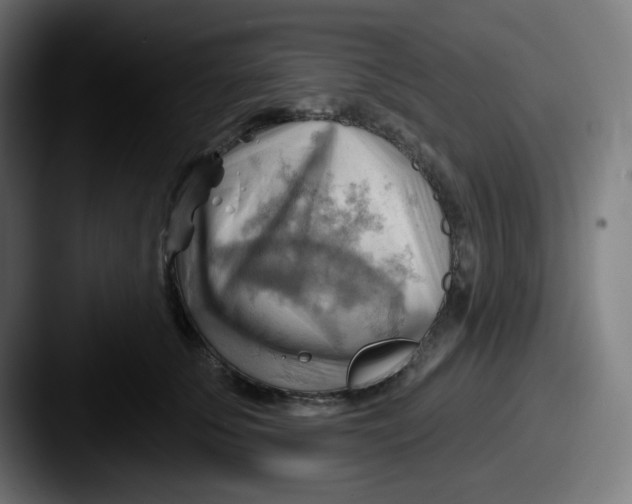 X0000087550707200705181106