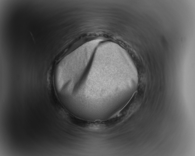 X0000087550708200705181106