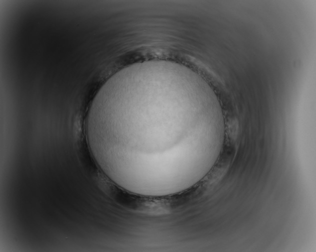 X0000087550709200705181106