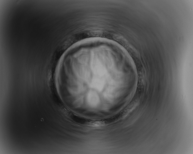 X0000087550711200705181106