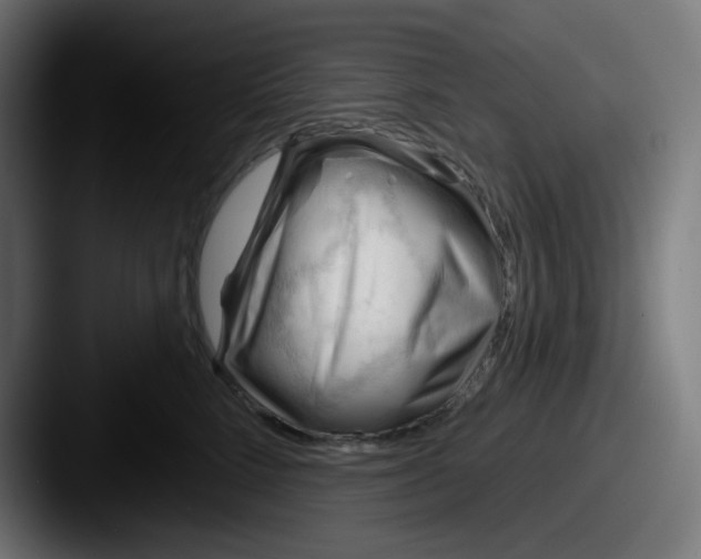 X0000087550712200705181106