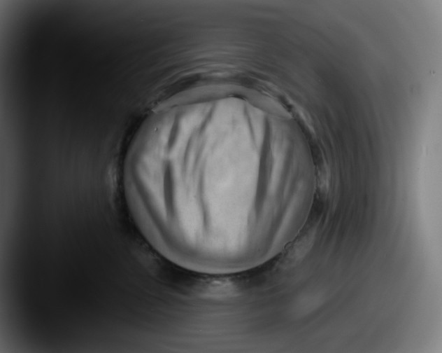 X0000087550715200705181106