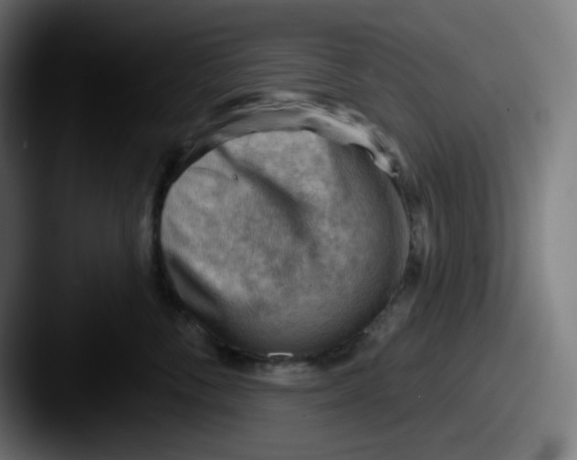 X0000087550716200705181106