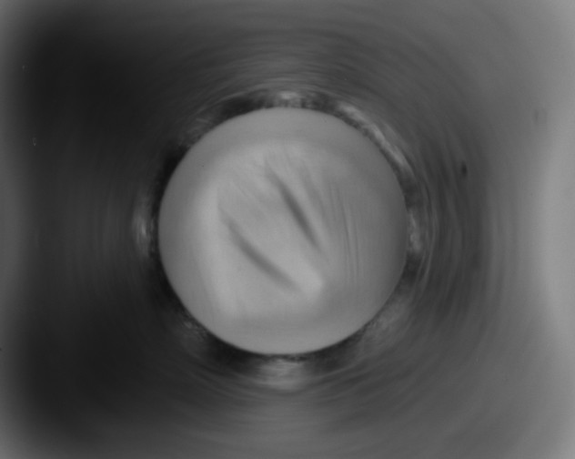 X0000087550718200705181106