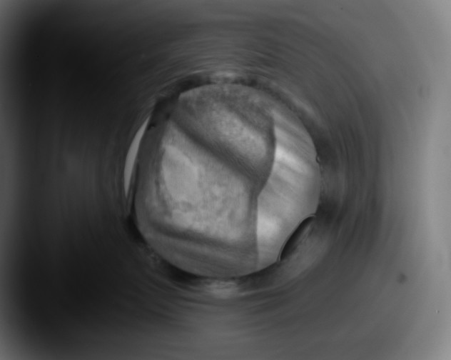 X0000087550719200705181106