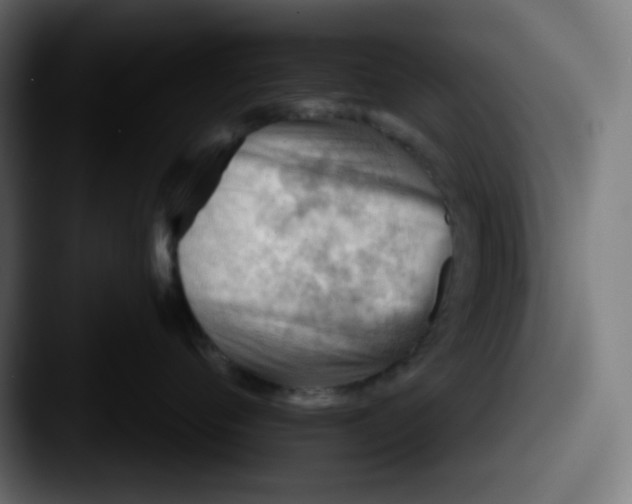 X0000087550720200705181106