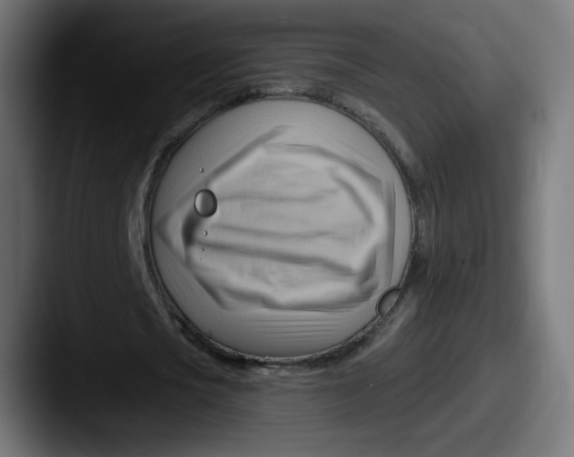 X0000087550721200705181106