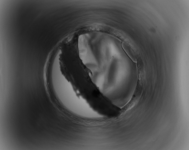 X0000087550722200705181106