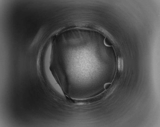 X0000087550723200705181106