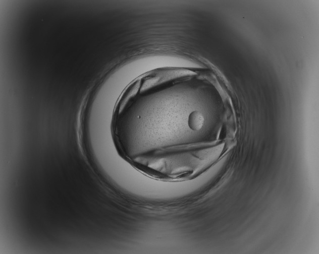 X0000087550725200705181106