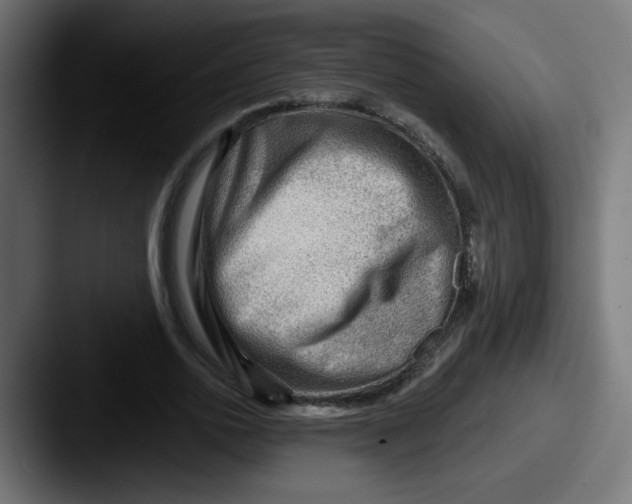 X0000087550726200705181106