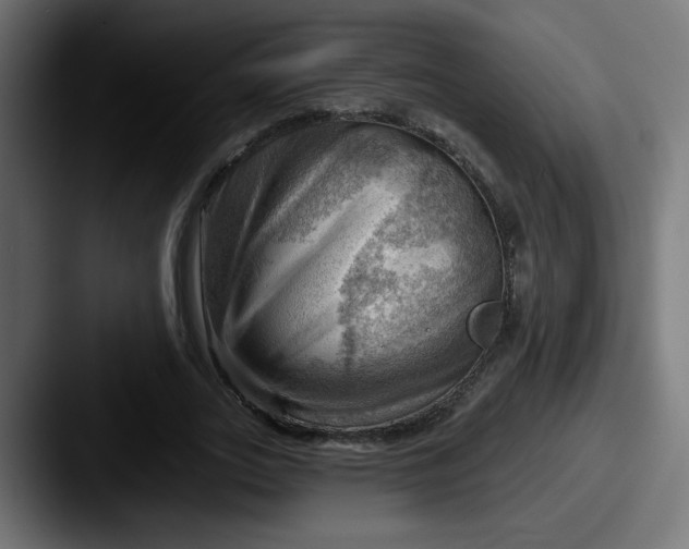 X0000087550727200705181106