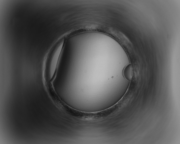 X0000087550728200705181106