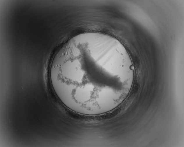 X0000087550729200705181106