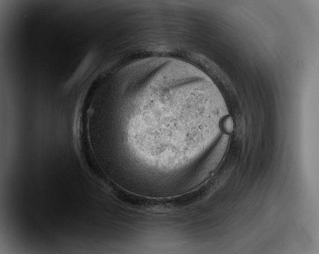 X0000087550731200705181106