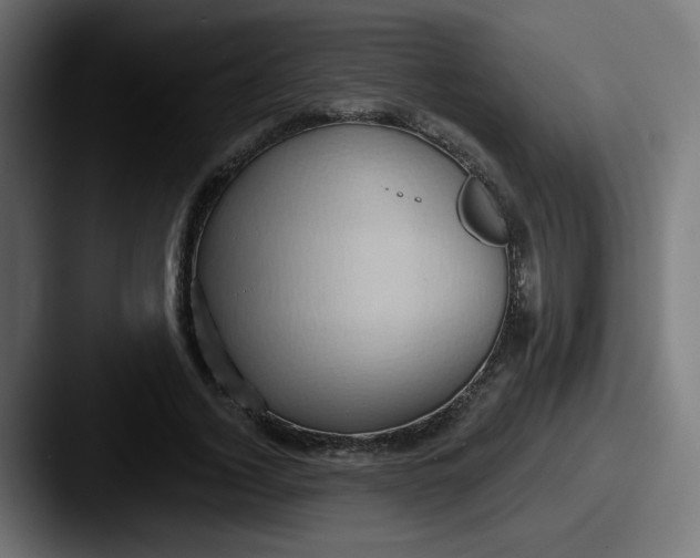 X0000087550732200705181106