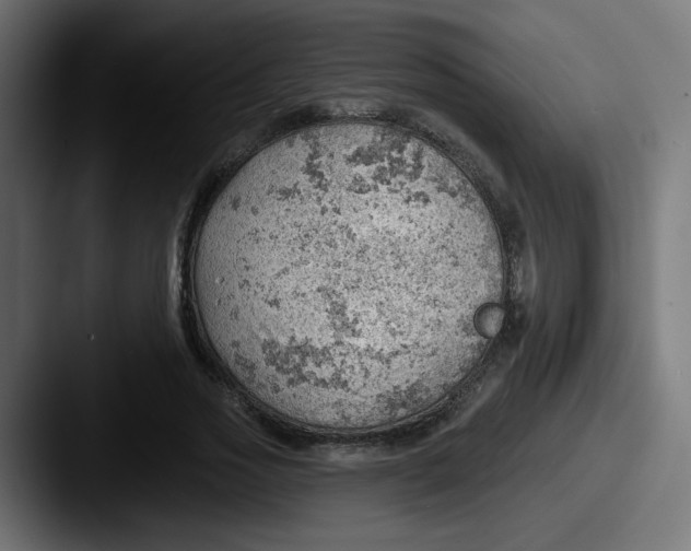 X0000087550733200705181106