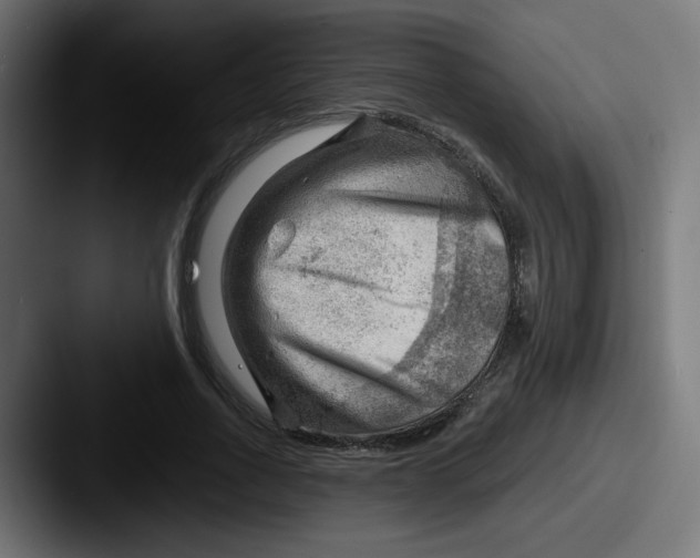 X0000087550734200705181106