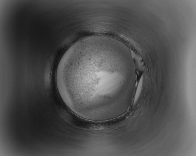 X0000087550735200705181106