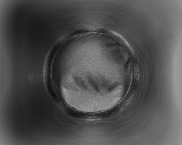 X0000087550736200705181106