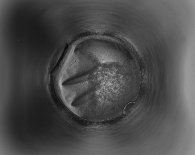 X0000087550738200705181106