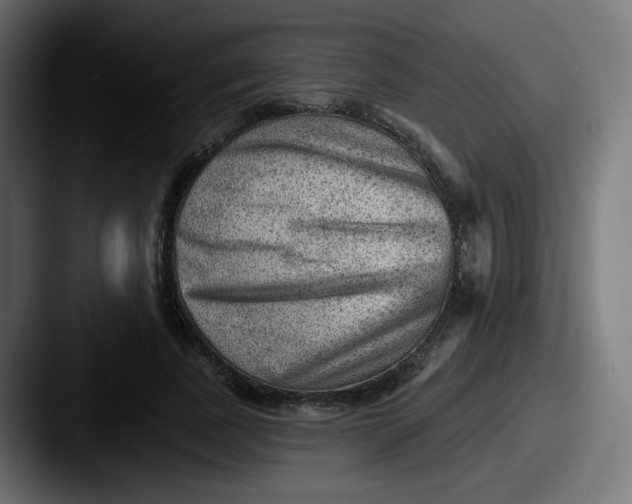 X0000087550739200705181106