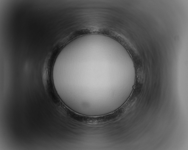 X0000087550740200705181106