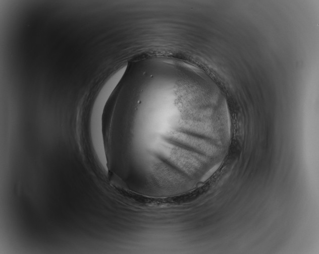 X0000087550742200705181106