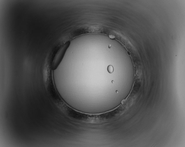 X0000087550744200705181106