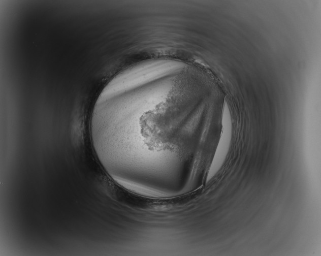 X0000087550746200705181106