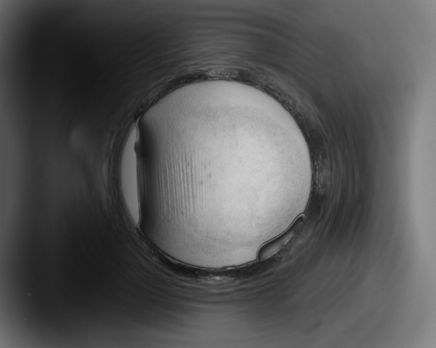 X0000087550748200705181106