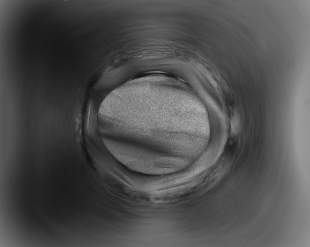 X0000087550750200705181106