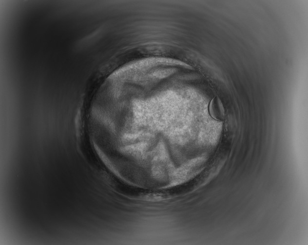 X0000087550751200705181106