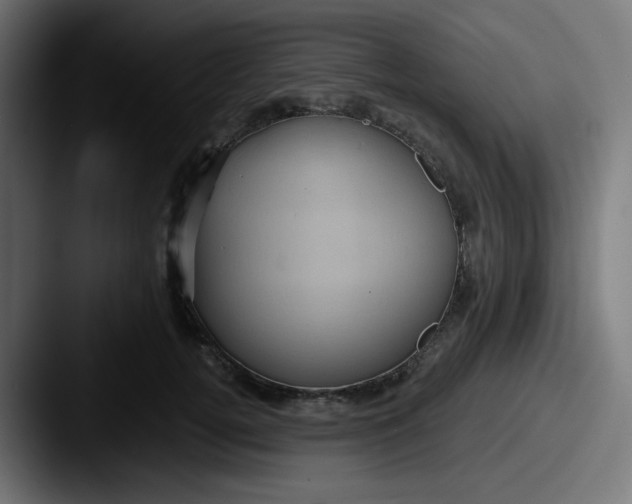 X0000087550752200705181106