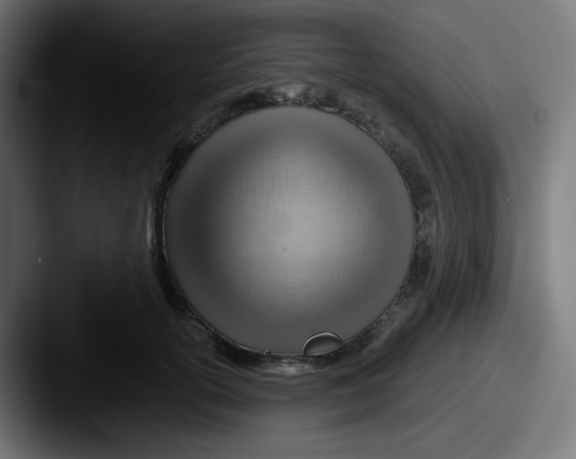 X0000087550754200705181106