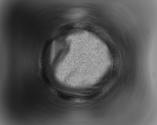 X0000087550755200705181106