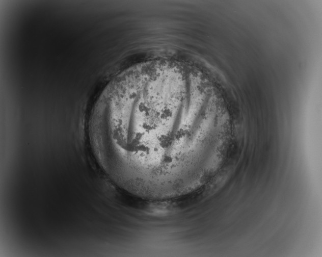 X0000087550757200705181106